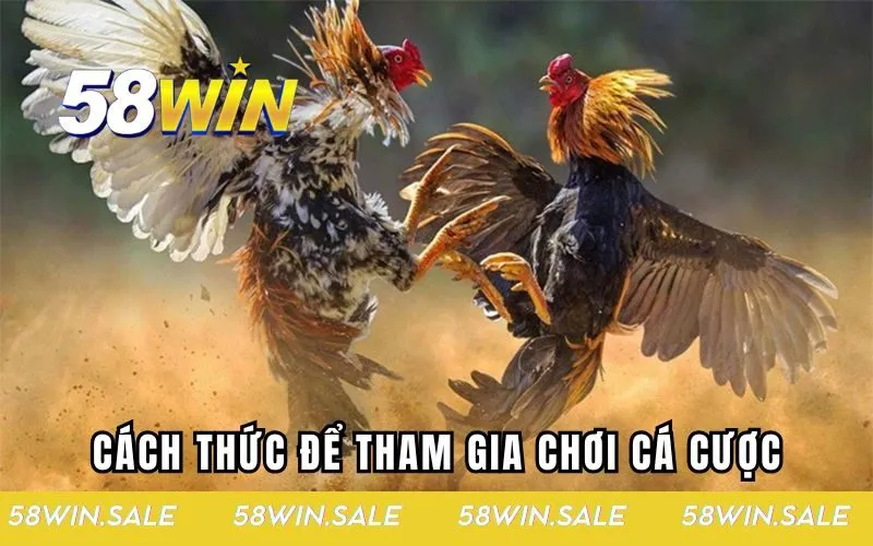Cách thức để tham gia chơi cá cược đơn giản