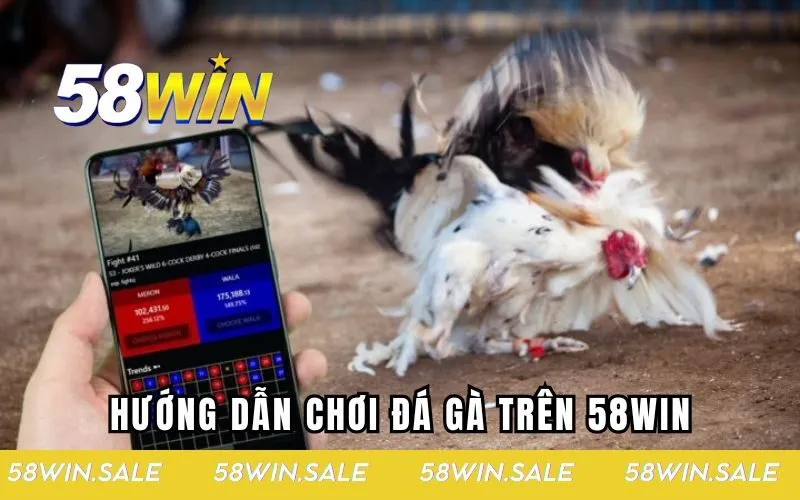 Hướng dẫn chơi đá gà hiệu quả trên 58WIN